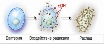 Влияние фотокатализа на микроорганизмы